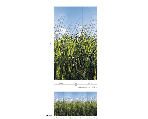 Grafik av en tapet med gräsmotiv och måtten 1,59 meter gånger 2,70 meter.