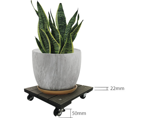 Växtrullare med växt i kruka och måttangivelser