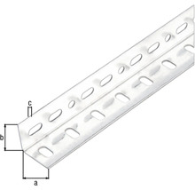 Perforerad metallvinkel med dimensioner