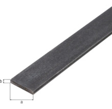 Plattstav KAISERTHAL stål 30x6mm 3m