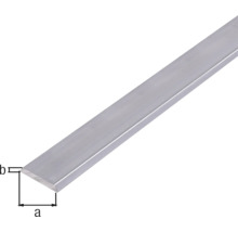 Täckprofil ALBERTS med avrundad kant aluminium natur 25x4mm 1m