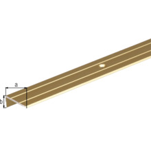 Aluminiumprofil med fästhål