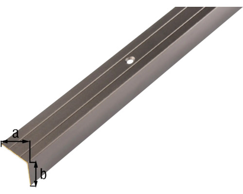 Vinkelprofil med borrhål för fastsättning