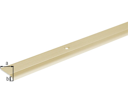 Trappnosprofil av metall med skruvhål