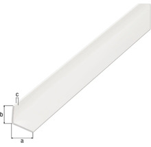Vinkelprofil ALBERTS PVC vit 20x20x1,5 mm 2,6 m