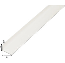 Vinkelprofil KAISERTHAL PVC vit 25x20x2 mm 1 m