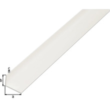 Vinkelprofil KAISERTHAL PVC vit 40x10x2 mm 2 m