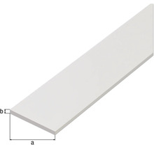 Plastlist med dimensionerna a och b