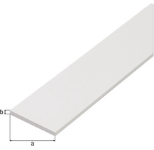Plastisk platt list med mått