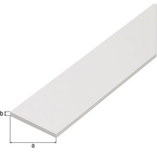 Plastlist med måttangivelser