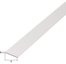 Platt profil av metall