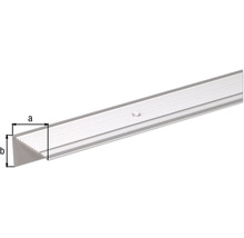 Trappkantprofil i aluminium med måtten a och b