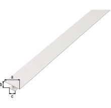H-profil KAISERTHAL PVC vit 25x4x12 mm 1 m-thumb-1