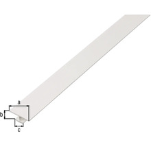 H-profil KAISERTHAL PVC vit 25x4x12 mm 2 m-thumb-1