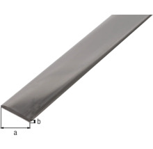Plattstav KAISERTHAL rostfritt stål 30x3,0mm 1m-thumb-1