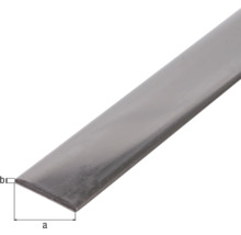 Plattstav KAISERTHAL A2 rostfritt stål 20x2mm 2m