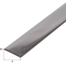 Plattstav KAISERTHAL A2 rostfritt stål 25x2mm 2m