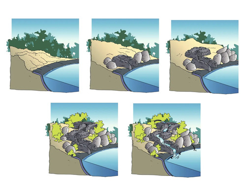 Illustration av en bygginstruktion för en trädgårdsdamm med vattenfall