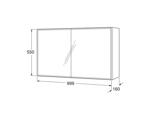 Mått på ett spegelskåp: 550 x 999 x 160 millimeter