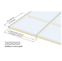 Schema över en transparent takkonstruktion med mått