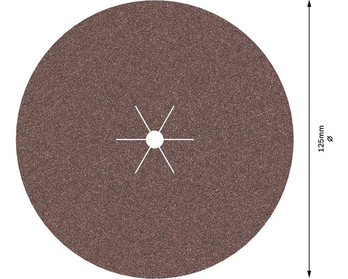 Slipskiva, 125 millimeter diameter