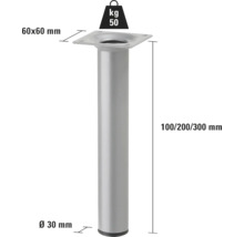 Möbelben av metall, 100/200/300 mm hög, diameter 30 mm, lastkapacitet 50 kg