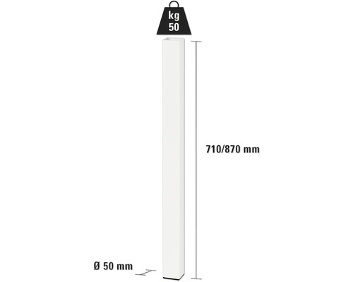 Teknisk ritning av en stående pelare med måtten 710/870 millimeter höjd och 50 millimeter diameter samt en indikation på 50 kilogram vikt.