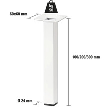 Produktdiagram över ett bordsben med måtten 60 x 60 mm, diameter 24 mm, höjd 100, 200 eller 300 mm och en lastkapacitet på 50 kg.