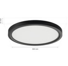 Bild på en rund taklampa med måtten 300 mm diameter och 31 mm höjd